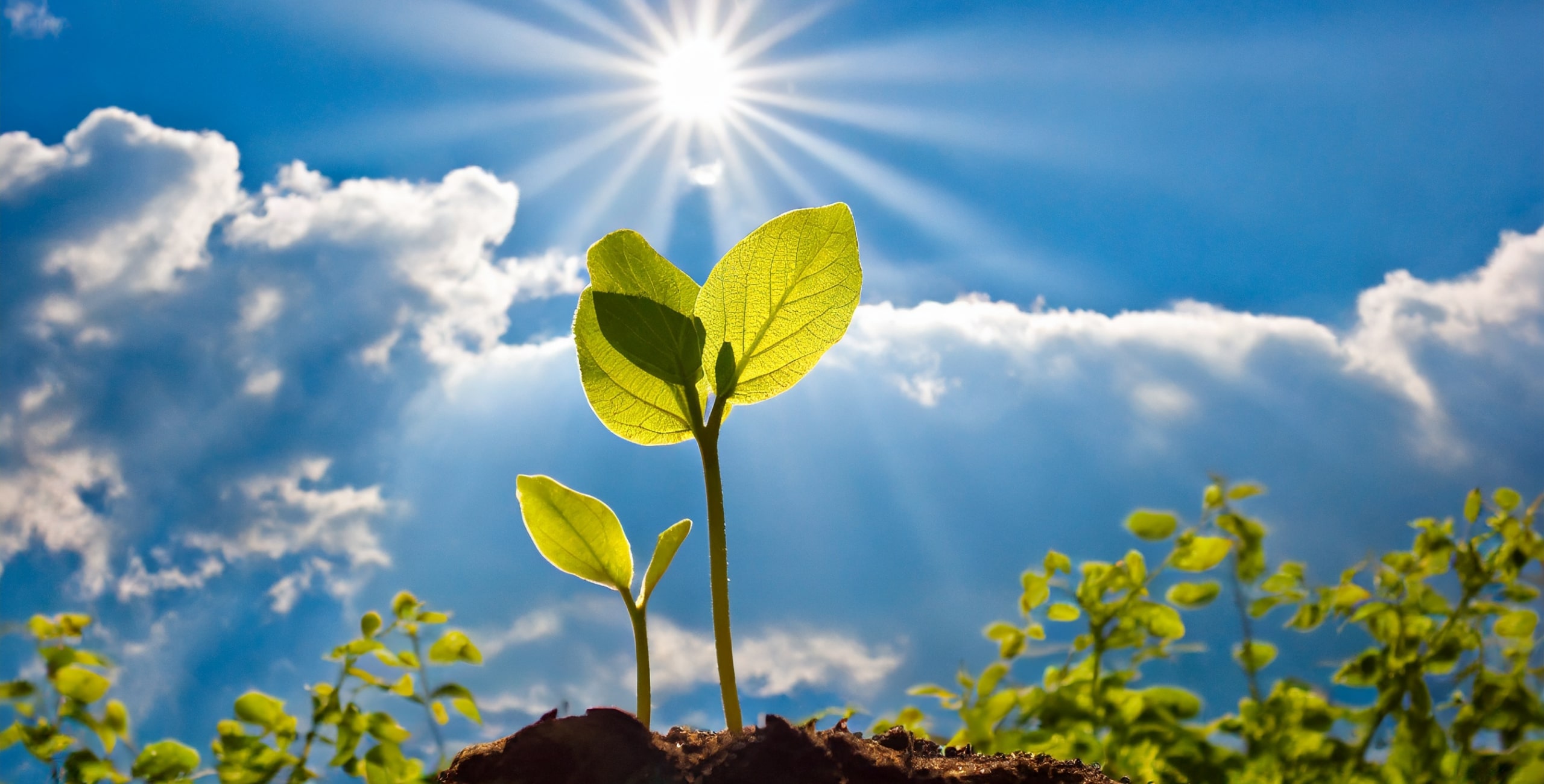 三和工程株式会社(SANWA ENGINEERING CO., LTD)