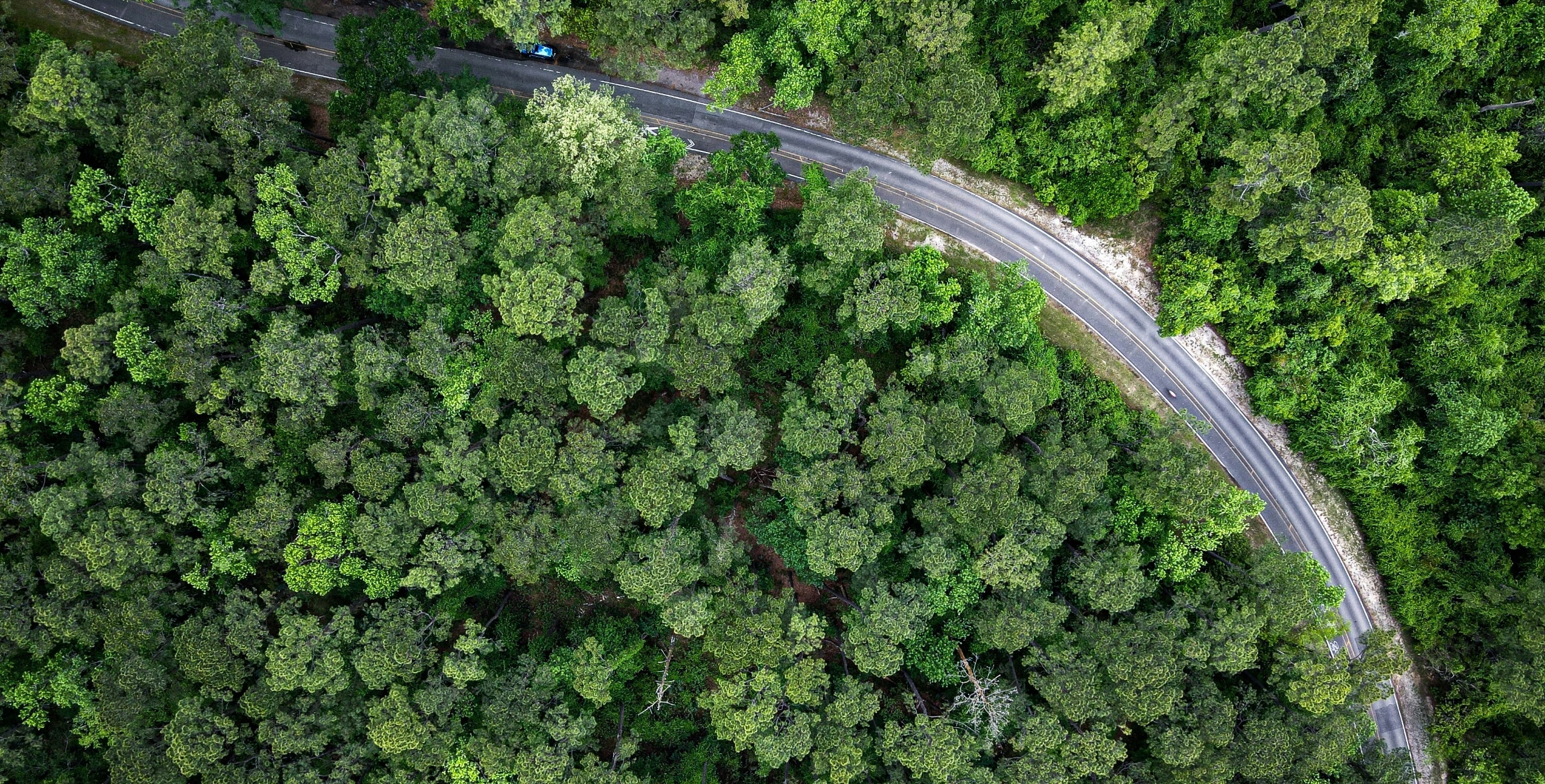 三和工程株式会社(SANWA ENGINEERING CO., LTD)