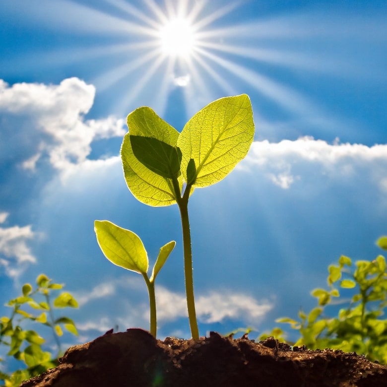 三和工程株式会社(SANWA ENGINEERING CO., LTD)