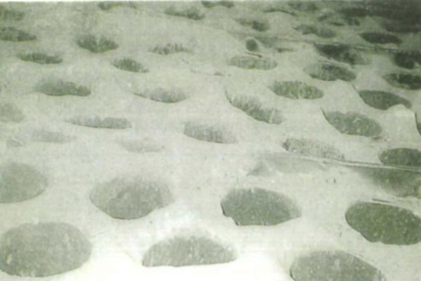 Fig.1 upper tube plate